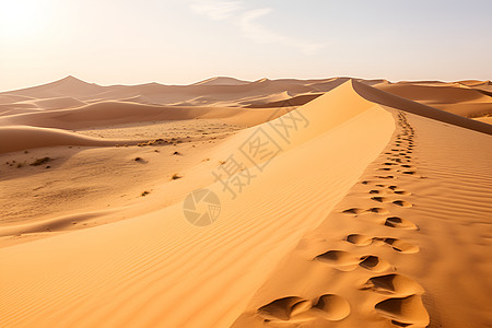 徒步旅行的沙漠景观背景图片