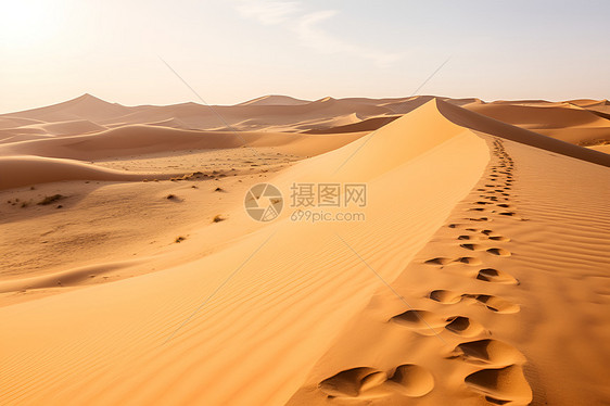 徒步旅行的沙漠景观图片