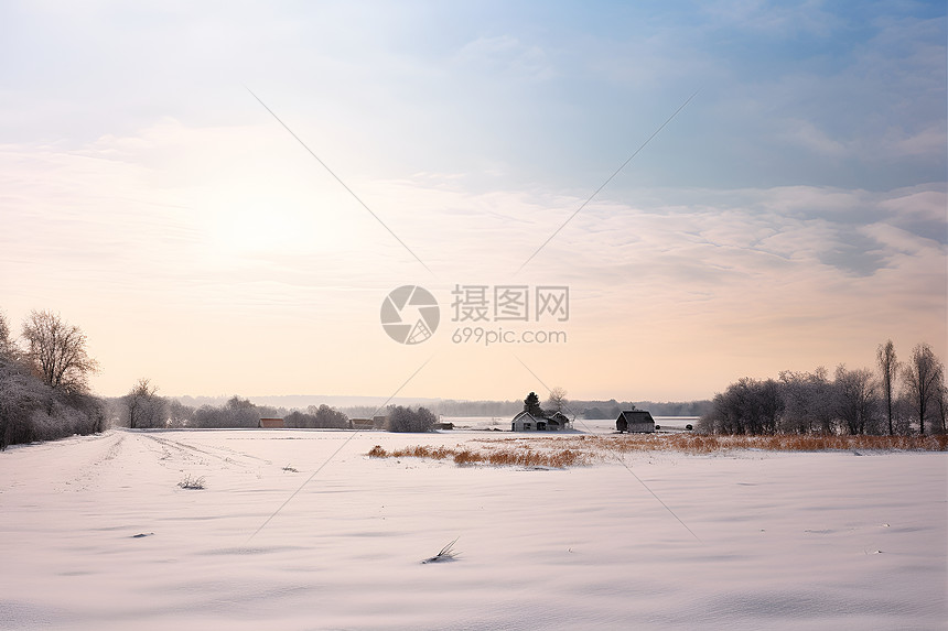 冬日白雪中的房屋图片