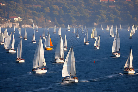 海中比赛的帆船图片