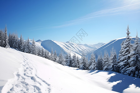 冬日积雪的山坡图片