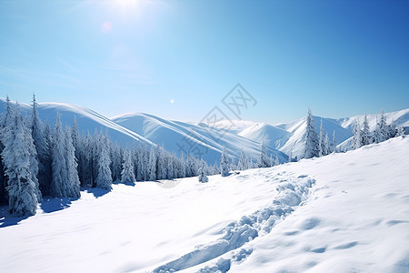 阳光下闪耀的雪山图片