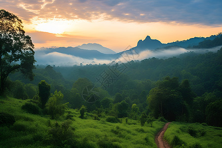 黄昏的山谷美景图片