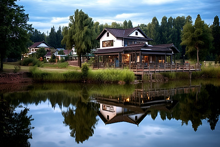 丛林小屋湖畔森林中的小屋背景