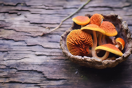 鲜美的菌菇图片
