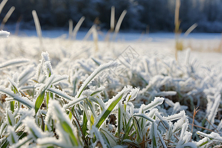 冬日田野背景图片