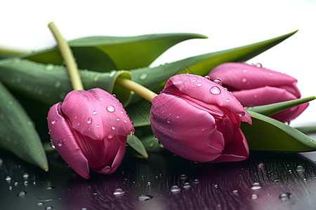 三朵粉色花朵图片
