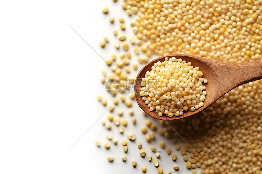 健康饮食的小米粮食图片