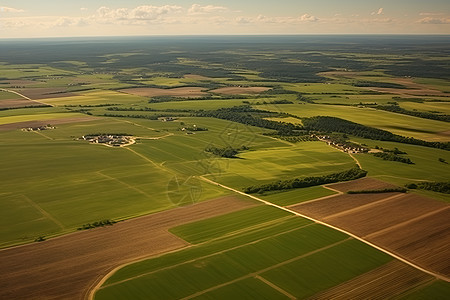 乡村农业种植的田野图片