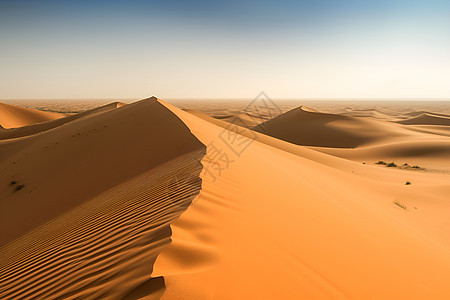 户外广阔的沙漠图片