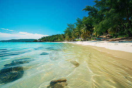 夏季热带度假海岛的美丽景观背景图片
