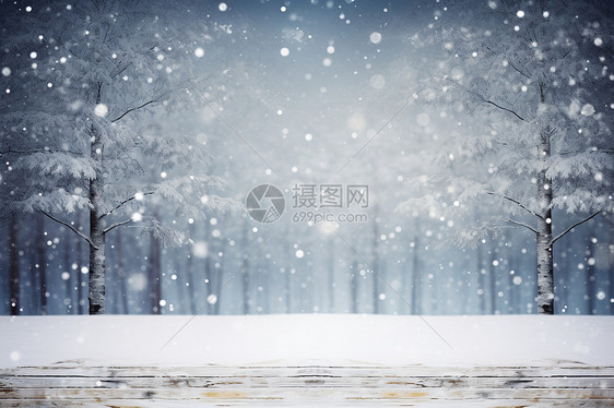 白雪皑皑的森林景观图片