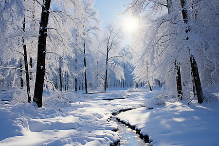 冬日白雪林径的美丽景观图片