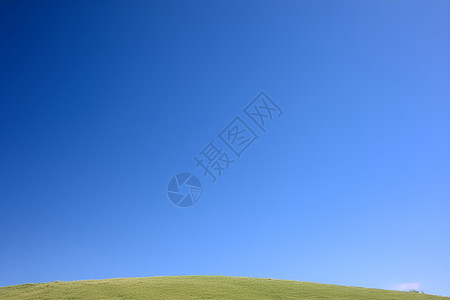 蓝天下的草坡图片