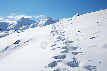 雪地上的脚印图片