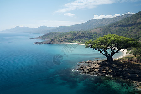 度假景区的沿海风光图片