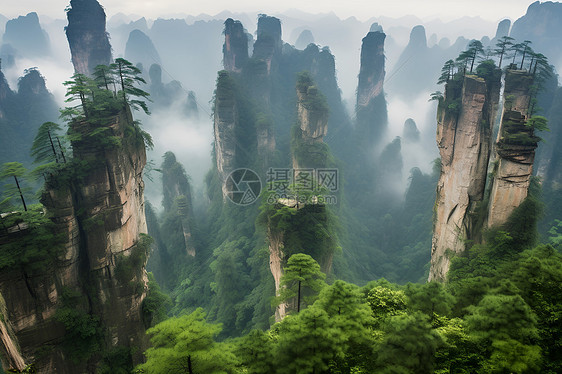 迷雾中的山林图片