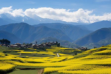 户外壮观的村庄建筑图片