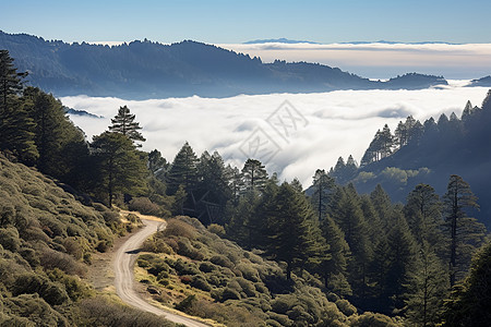 云雾山脉上的山路图片