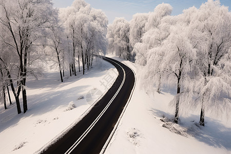 森林中的道路背景图片