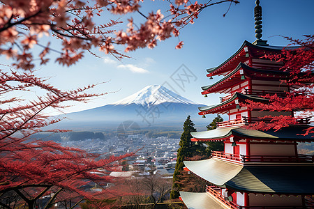 樱花与火山背景图片