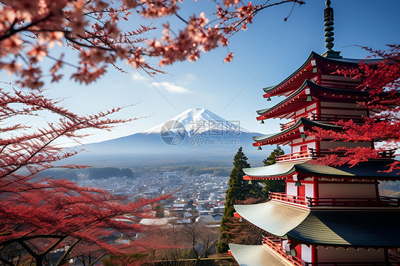 樱花与火山图片