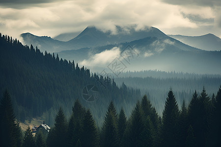 森林背景山脉与森林背景