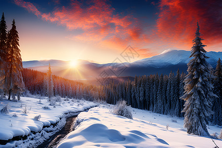 冬日暮色下的山林奇观高清图片