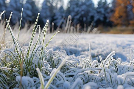 冬日田野风景背景图片