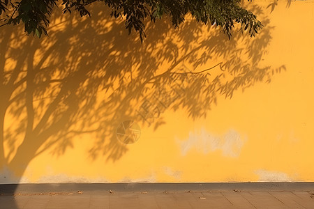 黄墙上的树影高清图片