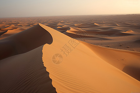 沙丘上的黄昏图片