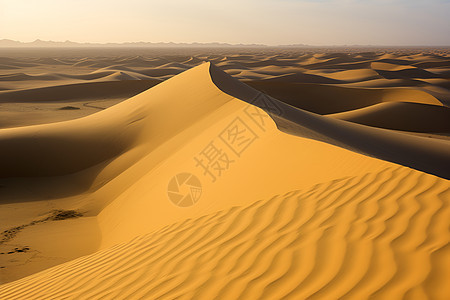 黄沙漫天的沙漠之旅图片