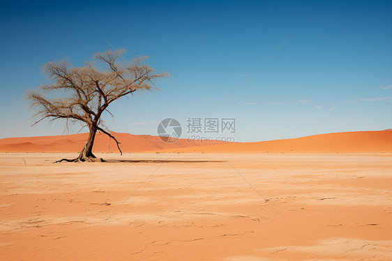 徒步旅行的撒哈拉沙漠图片