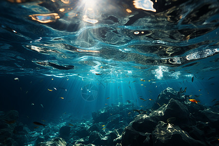 潜入海底的视角背景图片