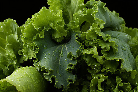 健康的绿色蔬菜图片