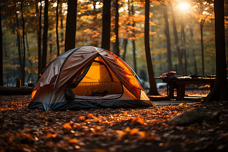 秋叶萦绕着帐篷图片
