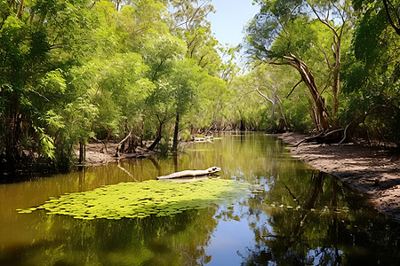 绿色的河流背景图片