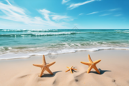 两只海星在沙滩上图片