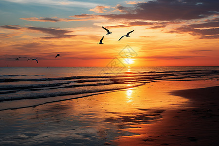 夕阳下的海边美景背景图片