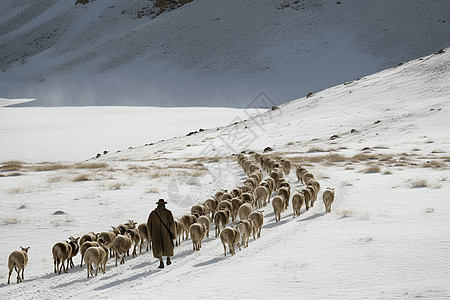 独角羚在雪山上奔跑图片