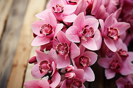美丽上的一束粉色花朵摆放在木桌上的一侧图片