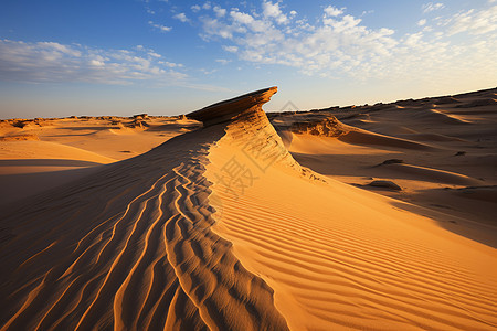 孤寂中的沙丘图片