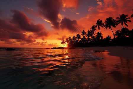 夕阳下的热带沙滩图片