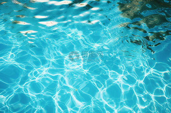 清凉夏日泳池图片