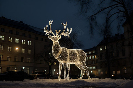 庆祝圣诞节的麋鹿灯光图片