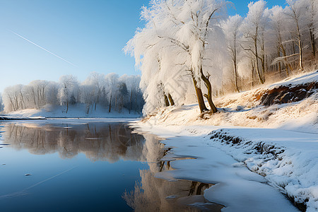 白雪皑皑的冬季丛林湖泊景观图片