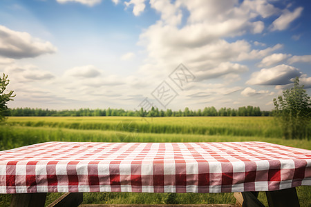 草地上的格子桌布图片