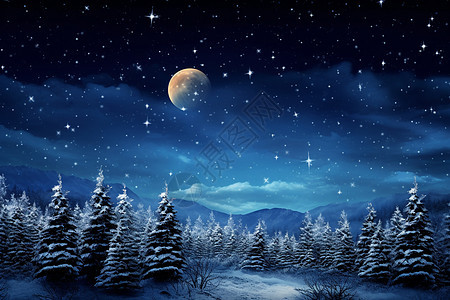 冬夜满月下的森林图片