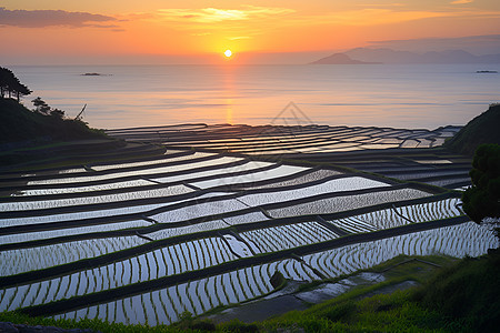 梯田风景图片