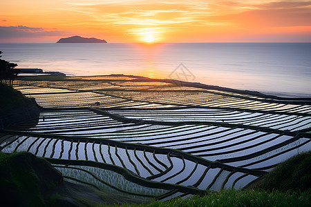 夕阳下的梯田图片